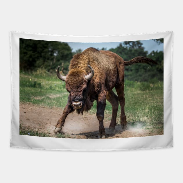 Baby Bison Tapestry by kawaii_shop