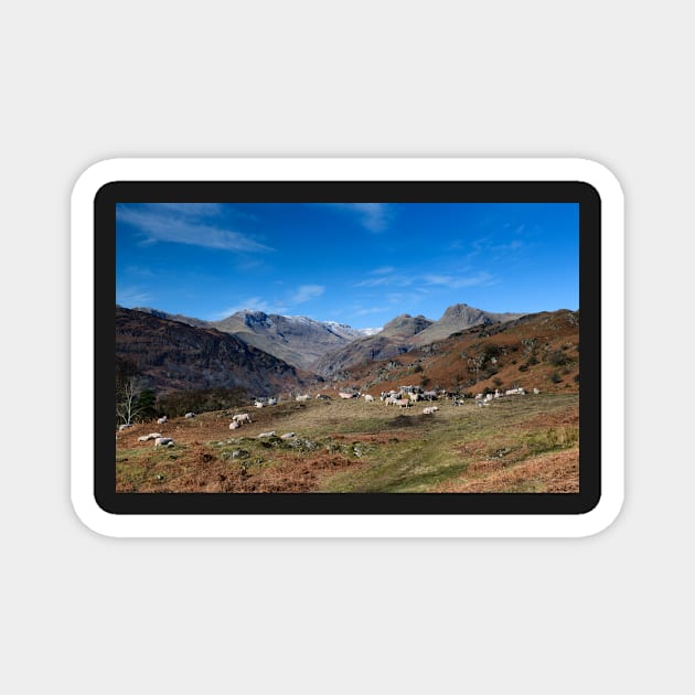 Langdales Pastures Magnet by jldunbar