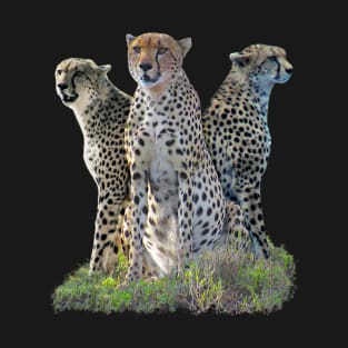 Cheetahs - Cheetah - Big Cat - Predator - Africa T-Shirt