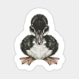 Black Little Duck Magnet