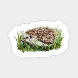 Hedgehog in the Grass Magnet