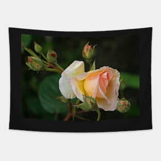 Peaches & Cream Tapestry