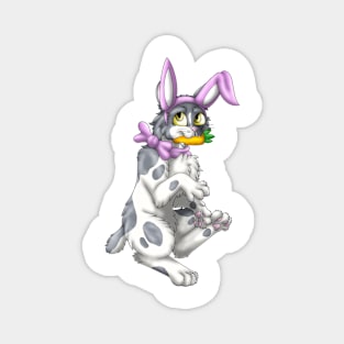 Bobtail BunnyCat: Grey Bicolor (Pink) Magnet