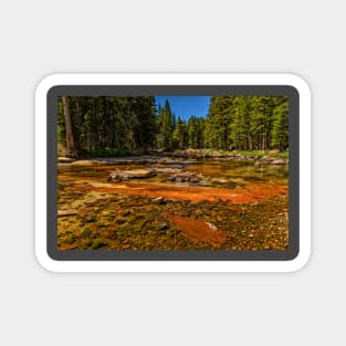 Dana Fork Yosemite National Park Magnet