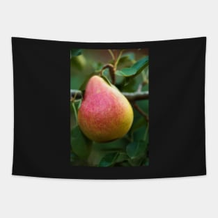 Red yellow pear on a branch Tapestry