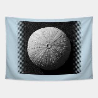 Seashell Tapestry