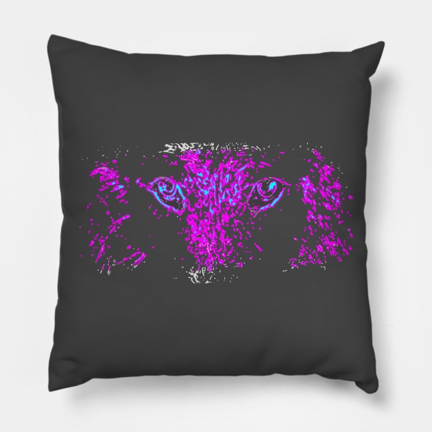 2PACK Pillow by rdbacct