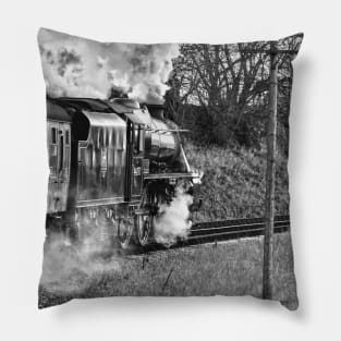 Journeying on 44871 Pillow