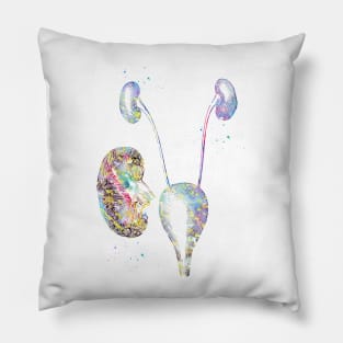 Urinary system Pillow