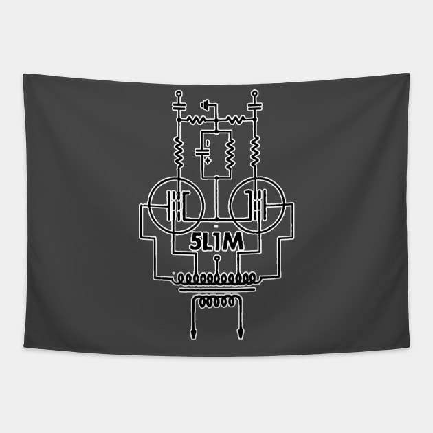 5L1M Push Pull Schematic Version 1 Tapestry by 5L1M