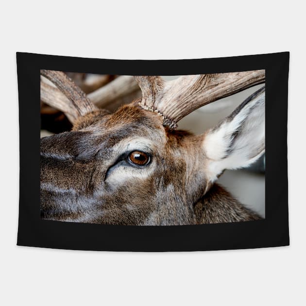 Caribou Head Tapestry by heidiannemorris