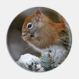 Red Squirrel Pin