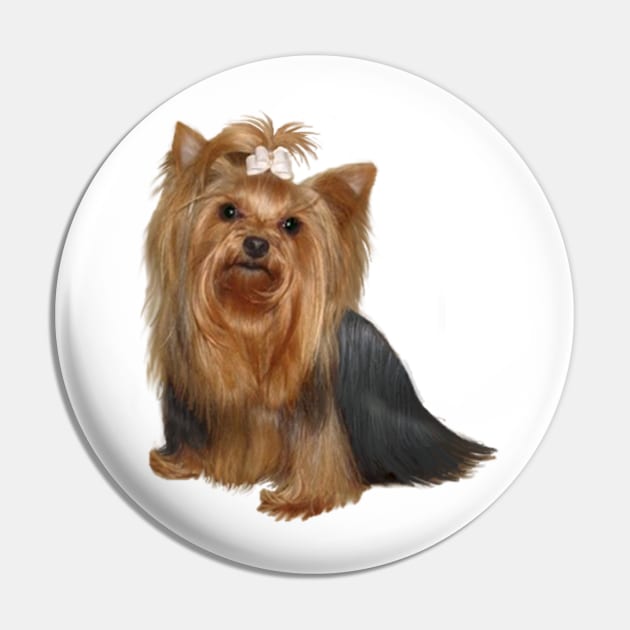 Yorkshire Terrier (A) Pin by Dogs Galore and More