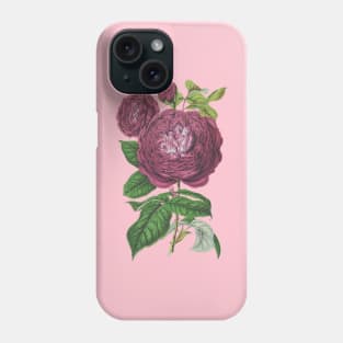 Mauve Pink Rose Flower Vintage Botanical Illustration Phone Case