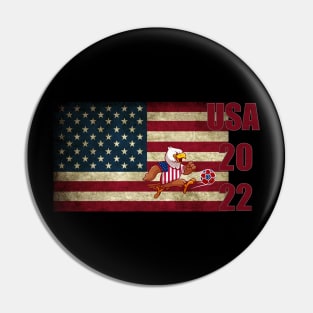 USA 2022 Pin