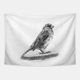 English Sparrow - Bird Watching - Ornithology Tapestry