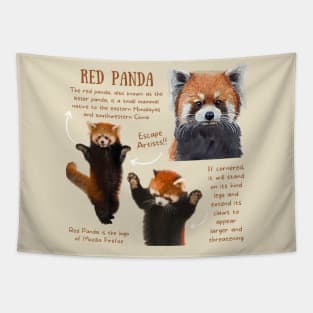 Animal Facts - Red Panda Tapestry