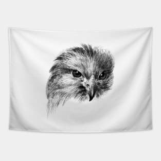 Vintage Bird of Prey Sketch Tapestry