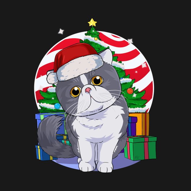 Cute Exotic Shorthair Cat Santa Claus Christmas by Noseking