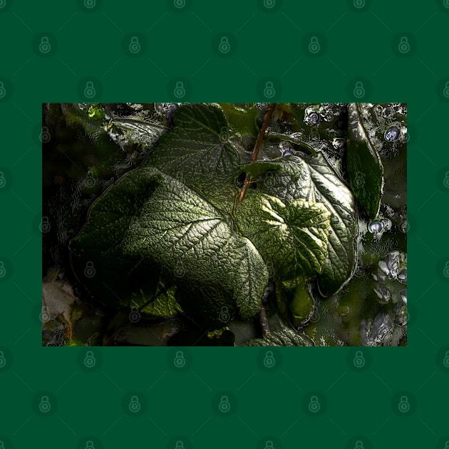 Black Currant Leaves Embossed by mavicfe