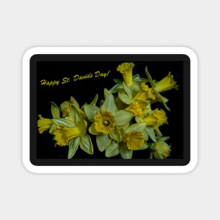 HAPPY ST. DAVIDS DAY! Magnet