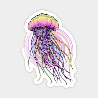 Jellyfish Magnet