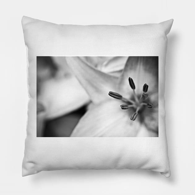 reaching out Pillow by blumwurks