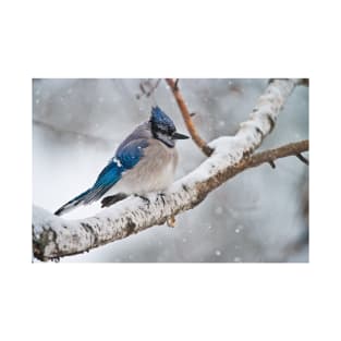 BlueJay In Winter T-Shirt