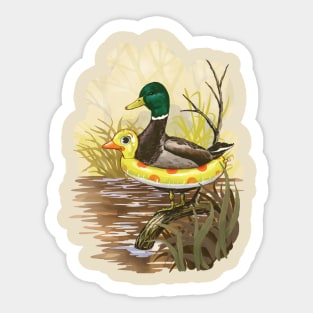 Duck Pond Stickers for Sale