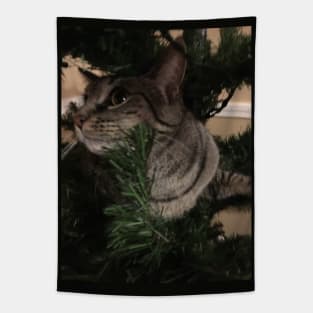 Kitty Up a Tree Tapestry