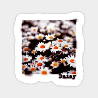 Abstract Daisy Art Magnet