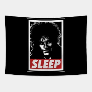 Sleep Tapestry