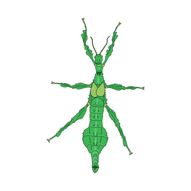 Green Extatosoma tiaratum by Artbychb