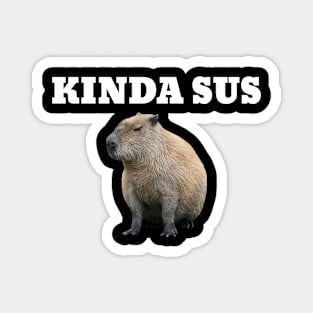 Kinda Sus Meme Capybara Magnet