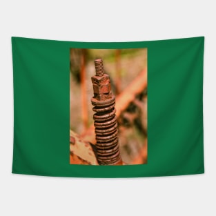 Rusty Spring Tapestry