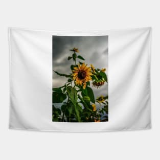 Sunflowers and storms ( We stand with Ukraine) Tapestry