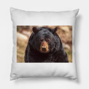 Black Bear Pillow