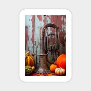 Old Tuba And Pumpkins Magnet