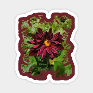 The Red Dahlia Magnet