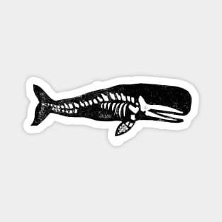 Sperm Whale Skeleton Magnet