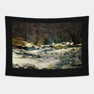 Exuberant Existence Tapestry