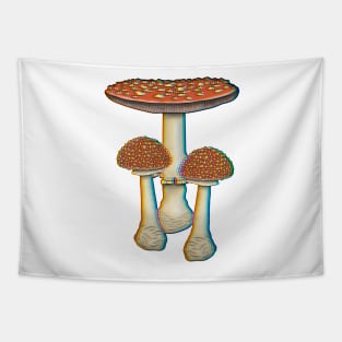 Amanita Mascaria mushrooms trippy Tapestry