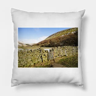 Swaledale Pillow