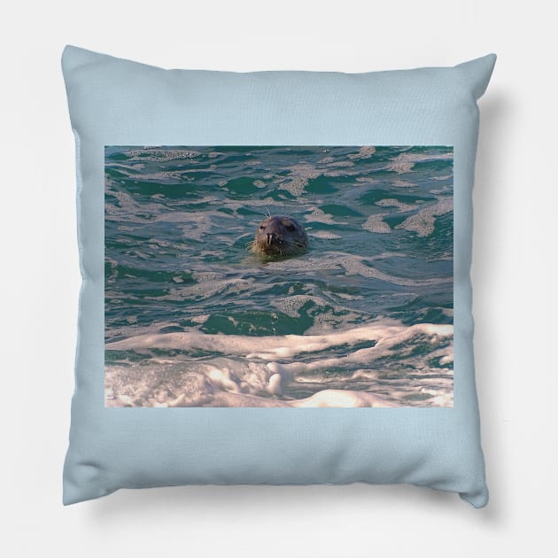 SOAKIN' IT UP! Pillow by dumbodancer