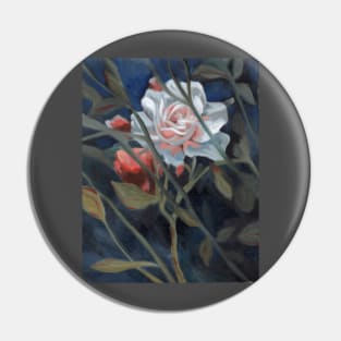 study of a rose in the back garden Pin