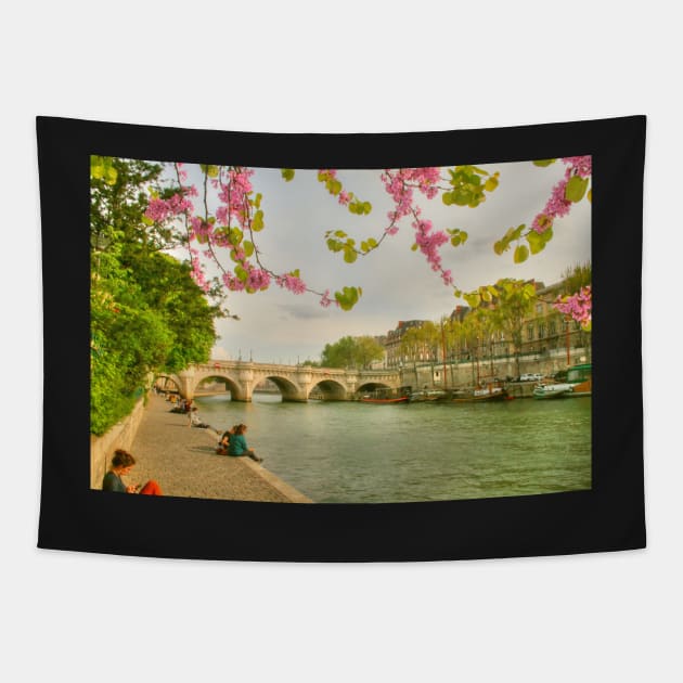 So Much Beauty In Paris .. It's In Seine Tapestry by Michaelm43