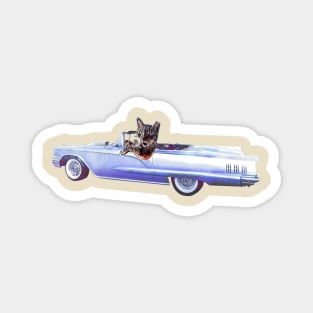 Funny cat art classic car Hot rod Thunderbird Cadillac Magnet