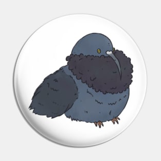 Fluffy pigeon drawing Pin