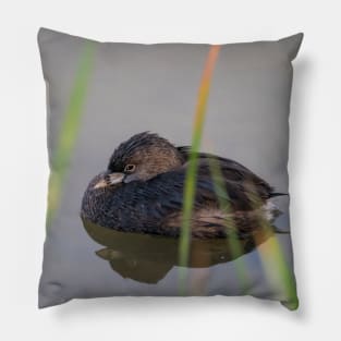 Pie-billed Grebe at Rest by the Reeds Pillow