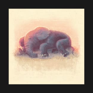 Baby Elephant Sleeping 2 T-Shirt